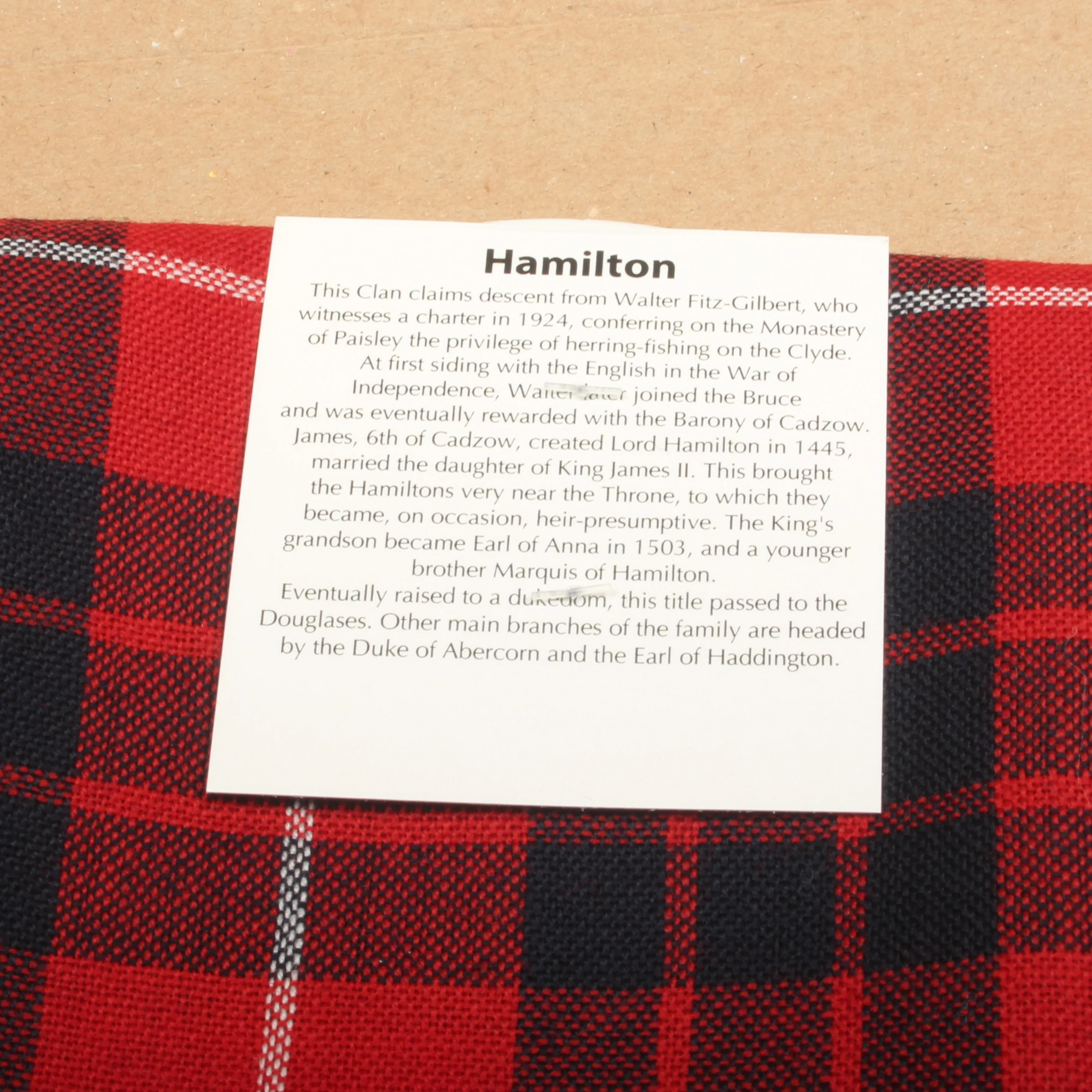 Full Length Sash in Hamilton Modern Tartan - Image 2