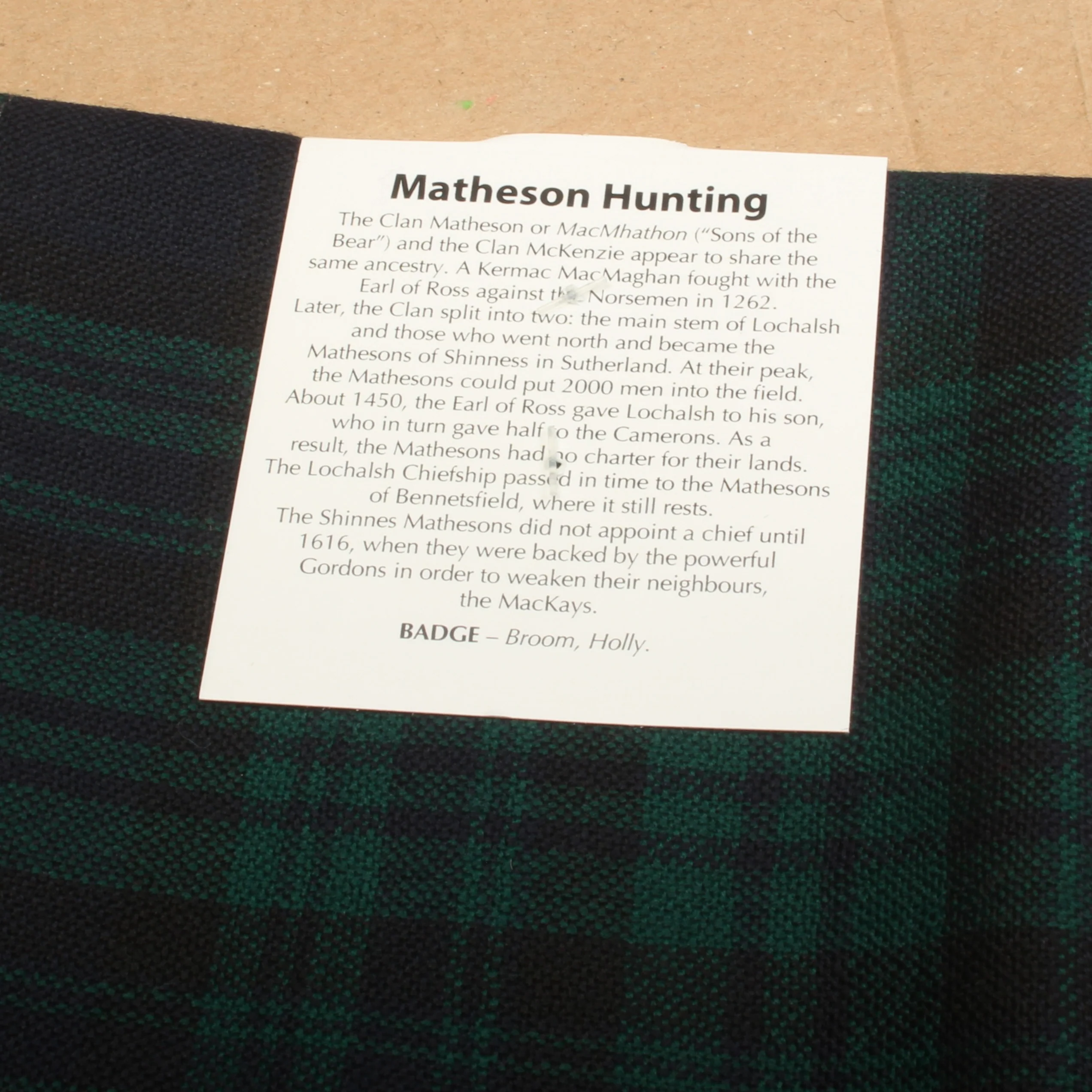 Full Length Sash in Matheson Hunting Modern Tartan. - Image 2