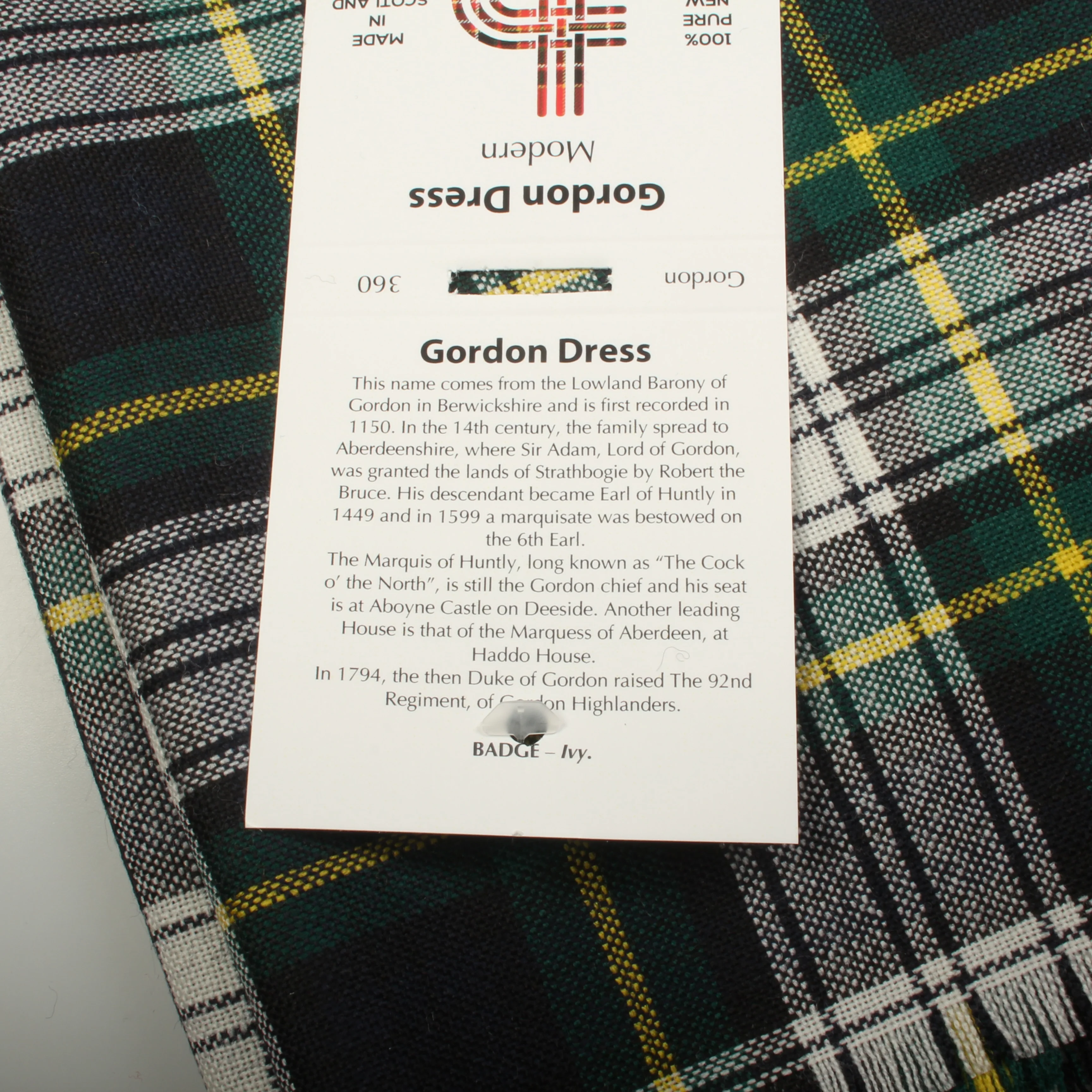 Gordon Dress Modern Tartan Shawl - Image 3