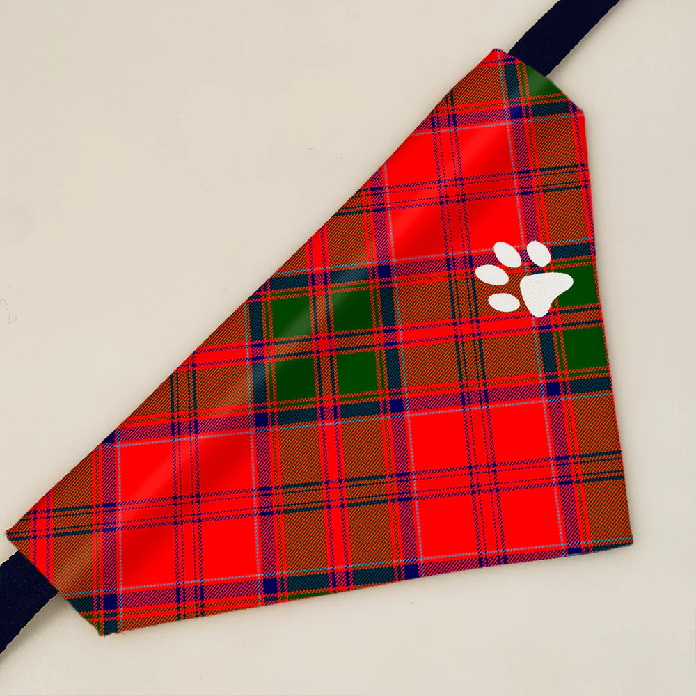 Grant Modern Tartan Pet Bandana
