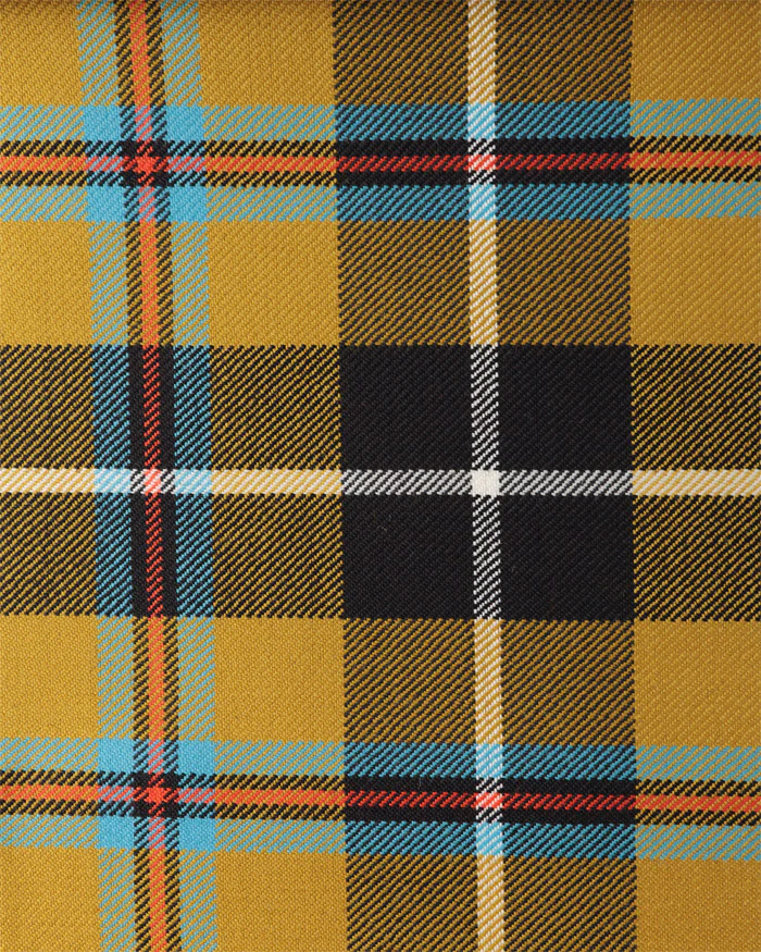 Heavy Weight Tartan per meter - Discounted Price A-G - Image 33
