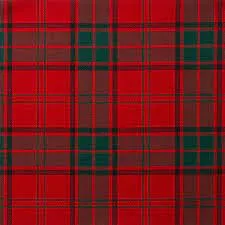 Ladies Tartan Skull - Any Tartan - Image 8