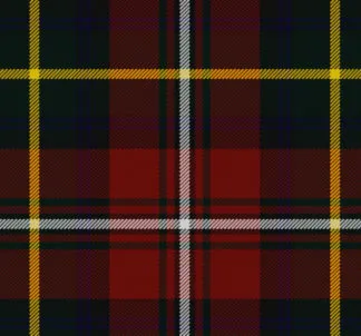 Ladies Tartan Skull - Any Tartan - Image 9