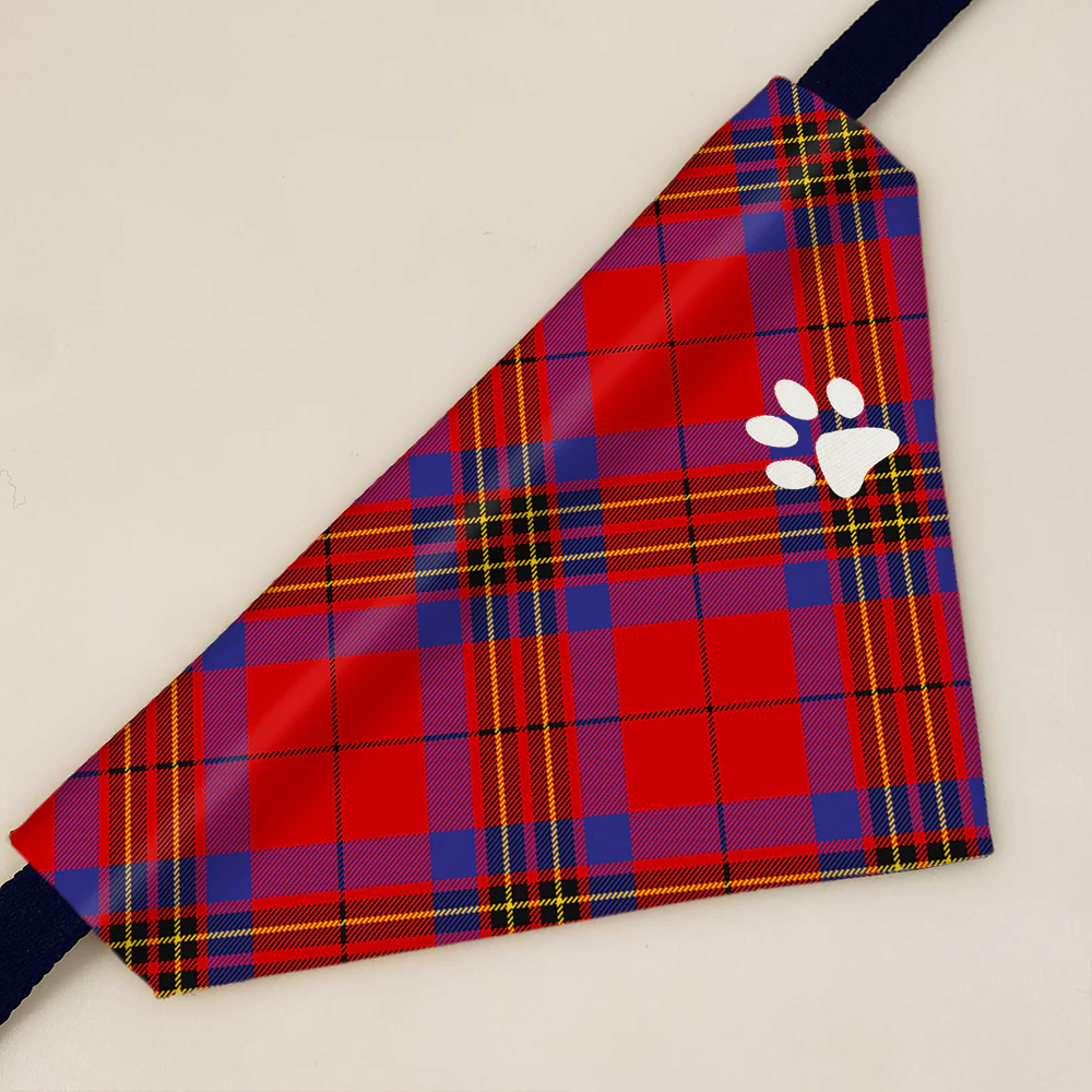 Leslie Modern Tartan Pet Bandana