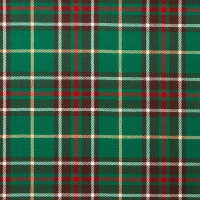 Lightweight Tartan by the Meter McNaughton - Q - Image 59