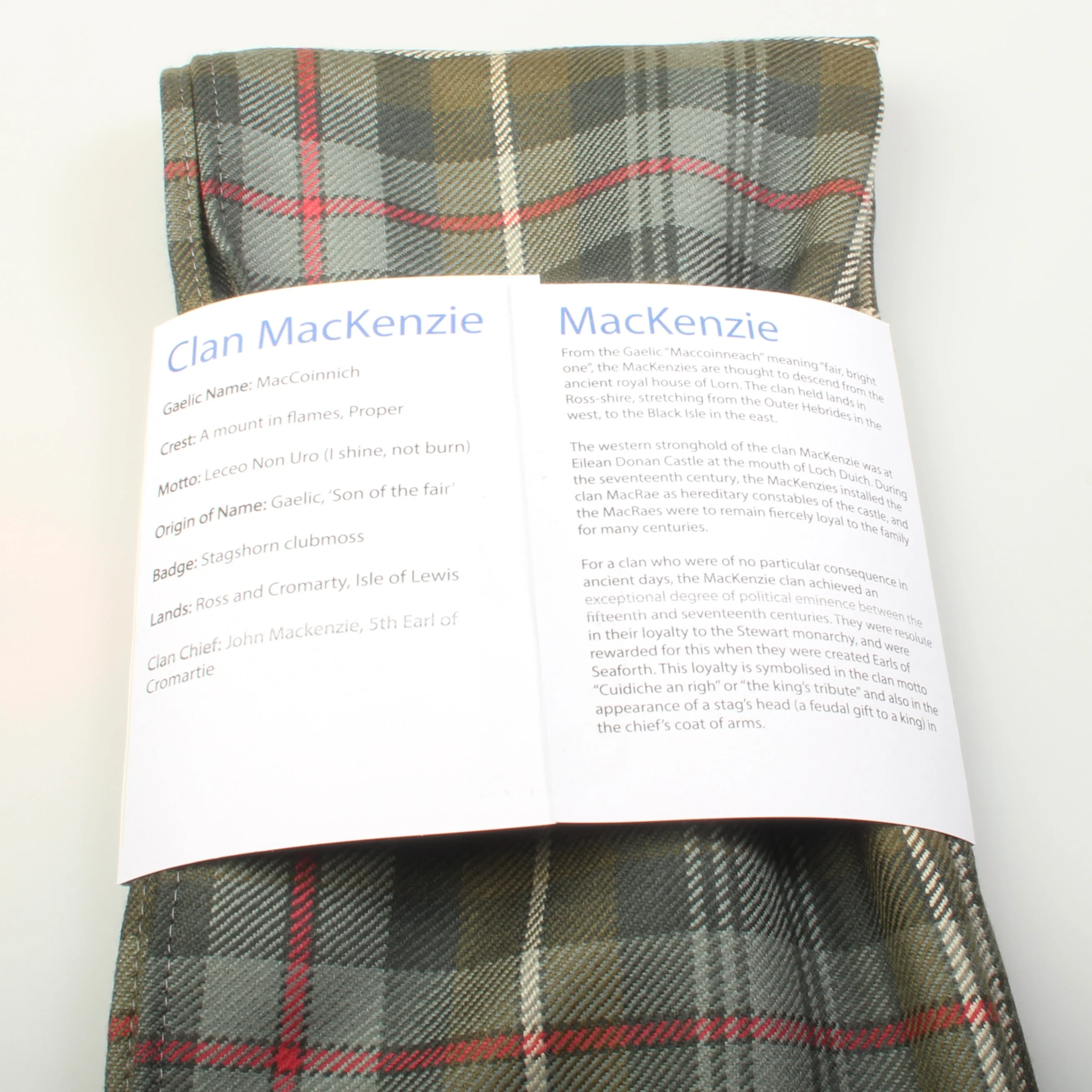 Luxury Lightweight Scarf in MacKenzie Weathered Tartan - Image 2