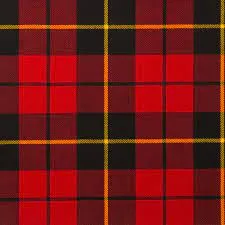 Tartan Handfasting Ribbon - Straight - Image 12