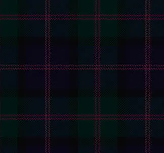 Tartan Handfasting Ribbon - Straight - Image 8