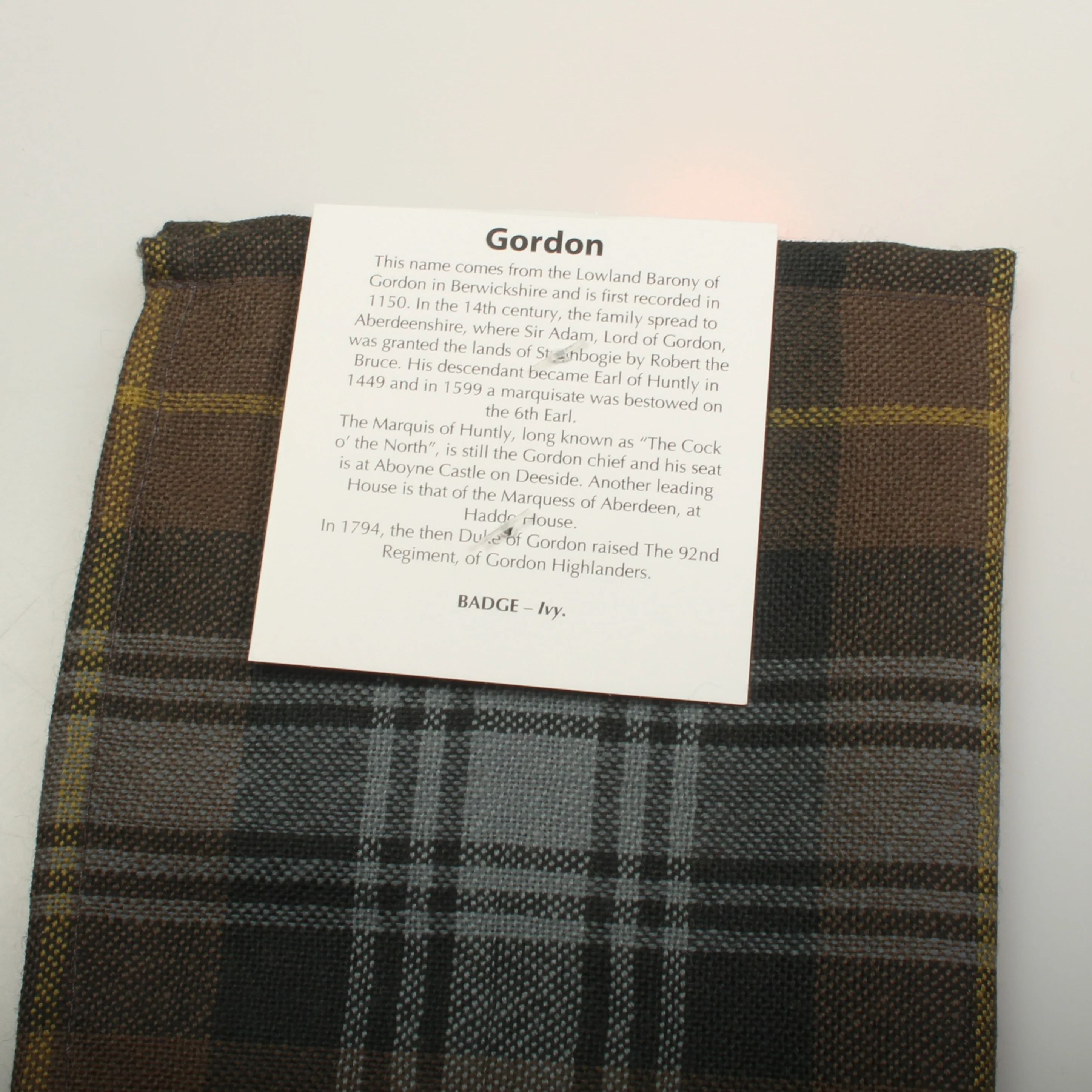 Scarf in Gordon Weathered Wool Tartan - Image 2