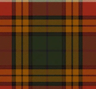 Scotland Skyline in any Tartan Mug - Image 10