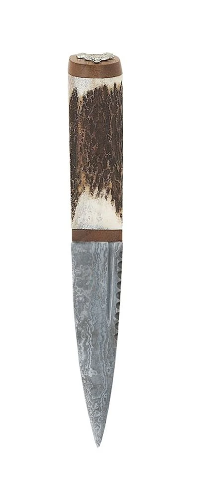 Staghorn Damascus Sgian Dubh With Walnut - Image 3