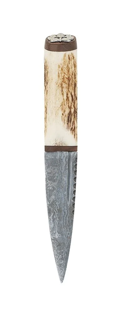 Staghorn Damascus Sgian Dubh With Walnut - Image 4