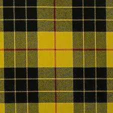Tartan Case for glasses or phone - custom made in any tartan - Image 8