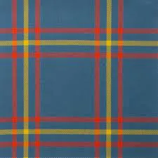 Tartan iPhone Rubber Case - any Tartan - Image 26