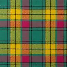 Tartan Money Clip - Image 6