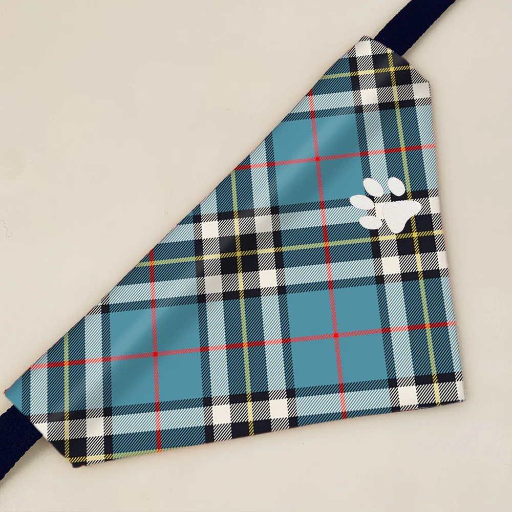 Thompson Modern Tartan Pet Bandana - Image 5
