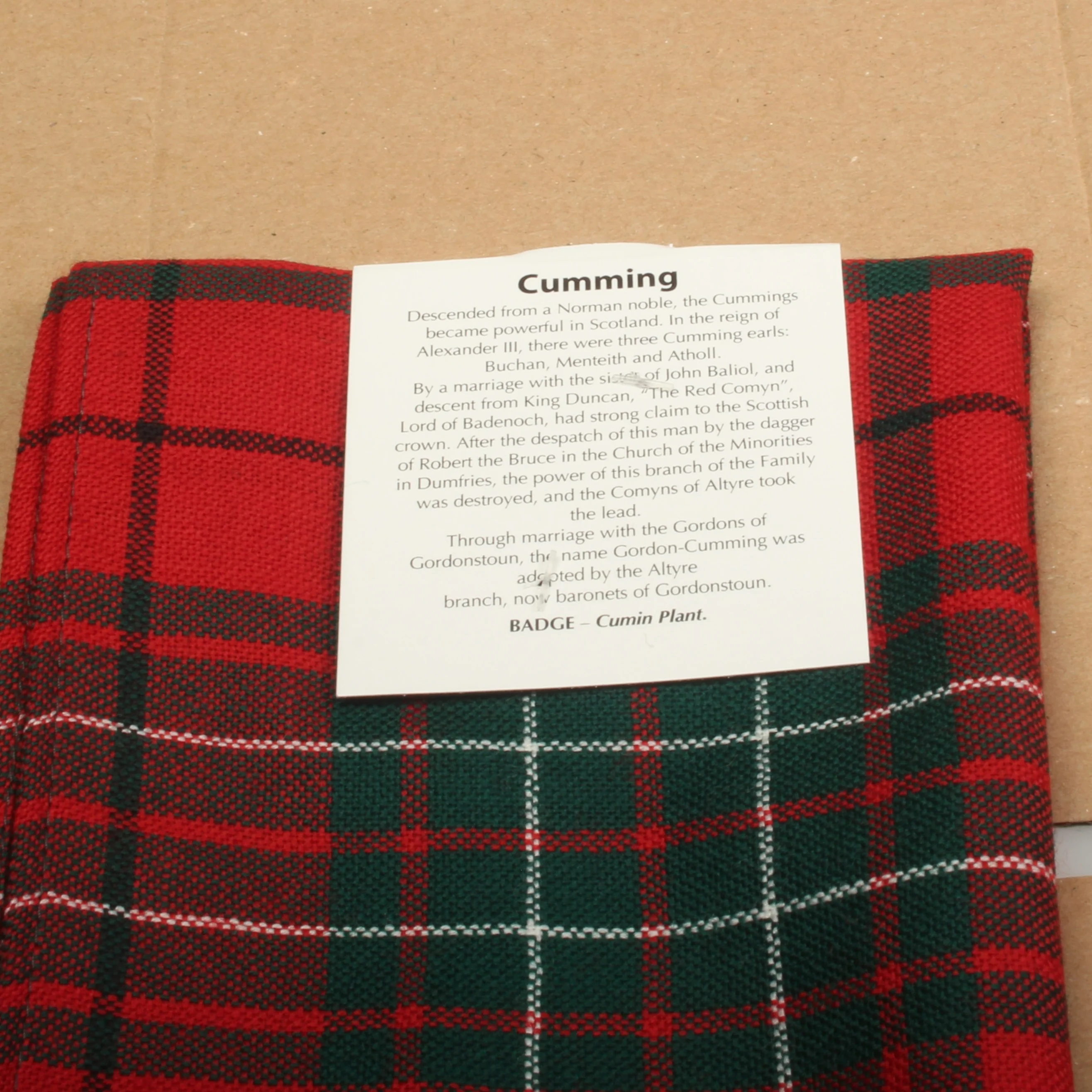 Wool Scarf in Cumming Modern Tartan - Image 3