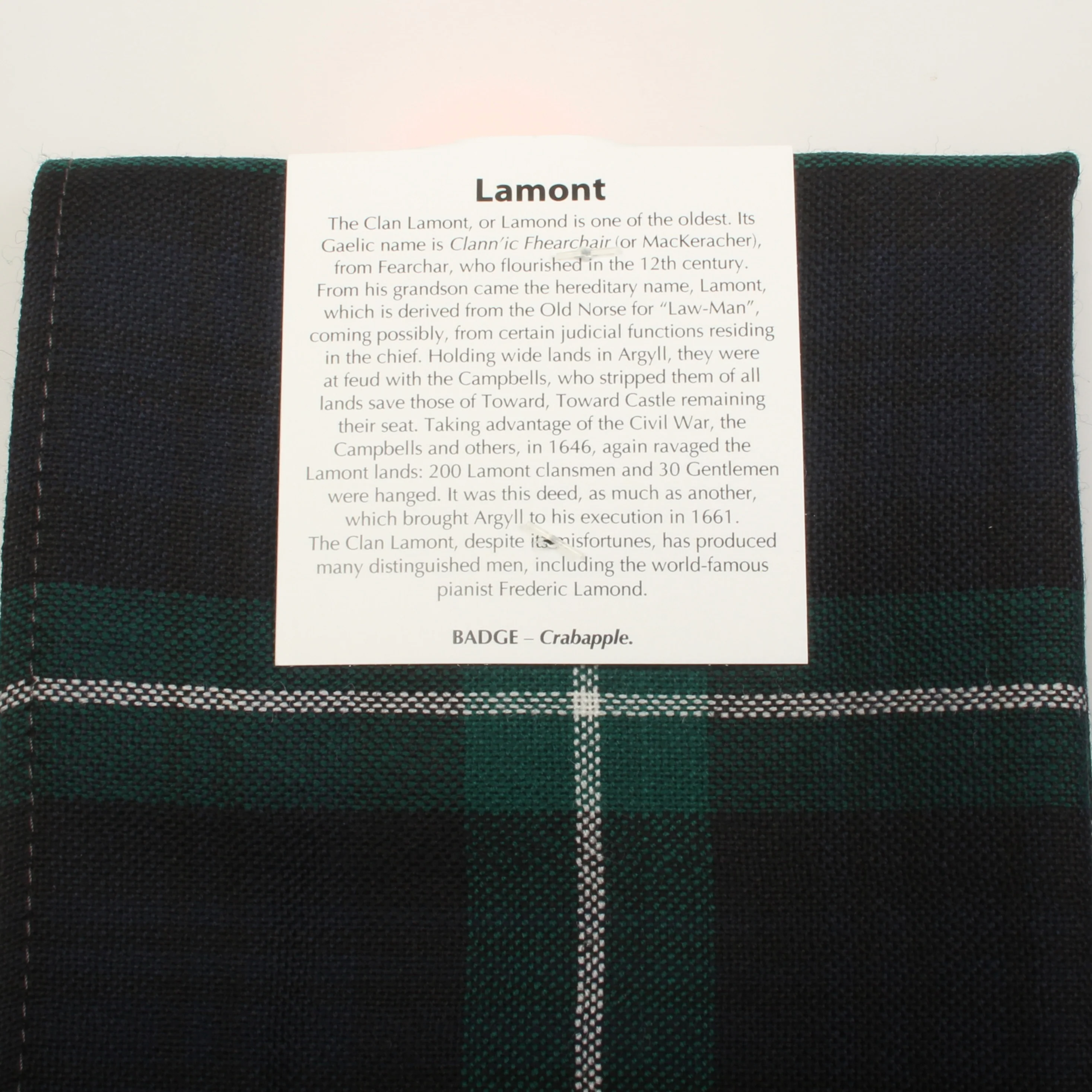 Wool Scarf in Lamont Modern Tartan - Image 4