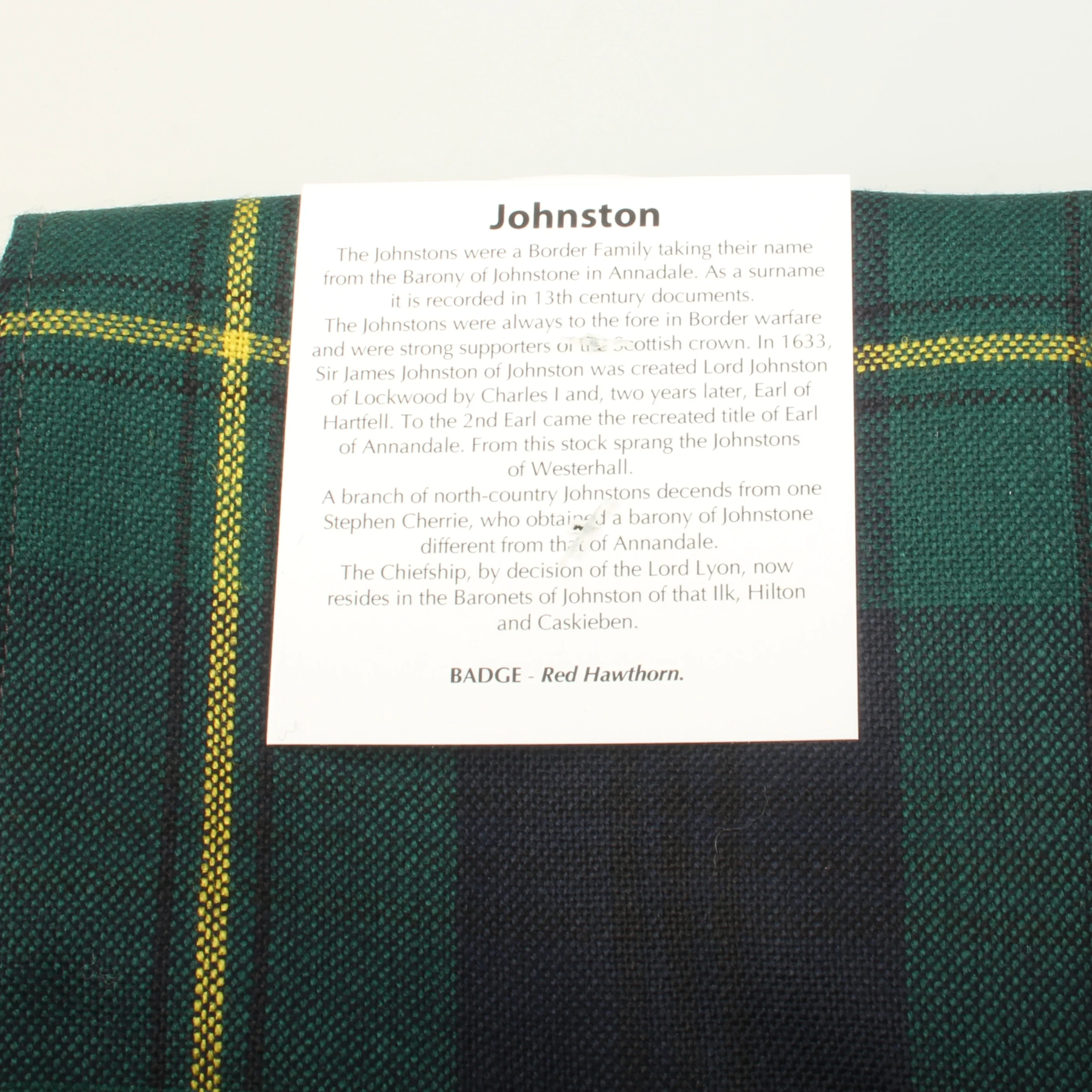 Full Length Sash in Johnstone Modern Tartan - Image 4